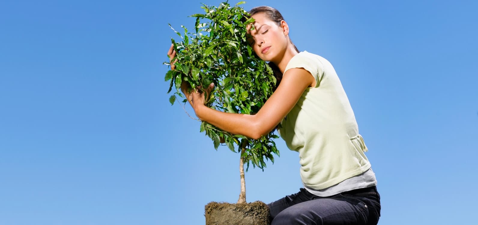 Plant For The Planet